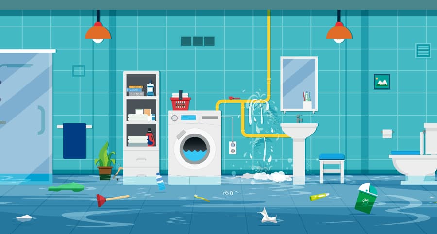 /corporate/images/WaterLeakDetectorS24.jpg