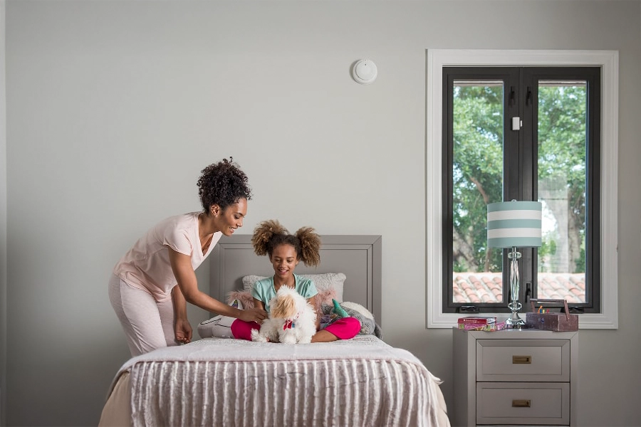 smoke & carbon detector Los Angeles